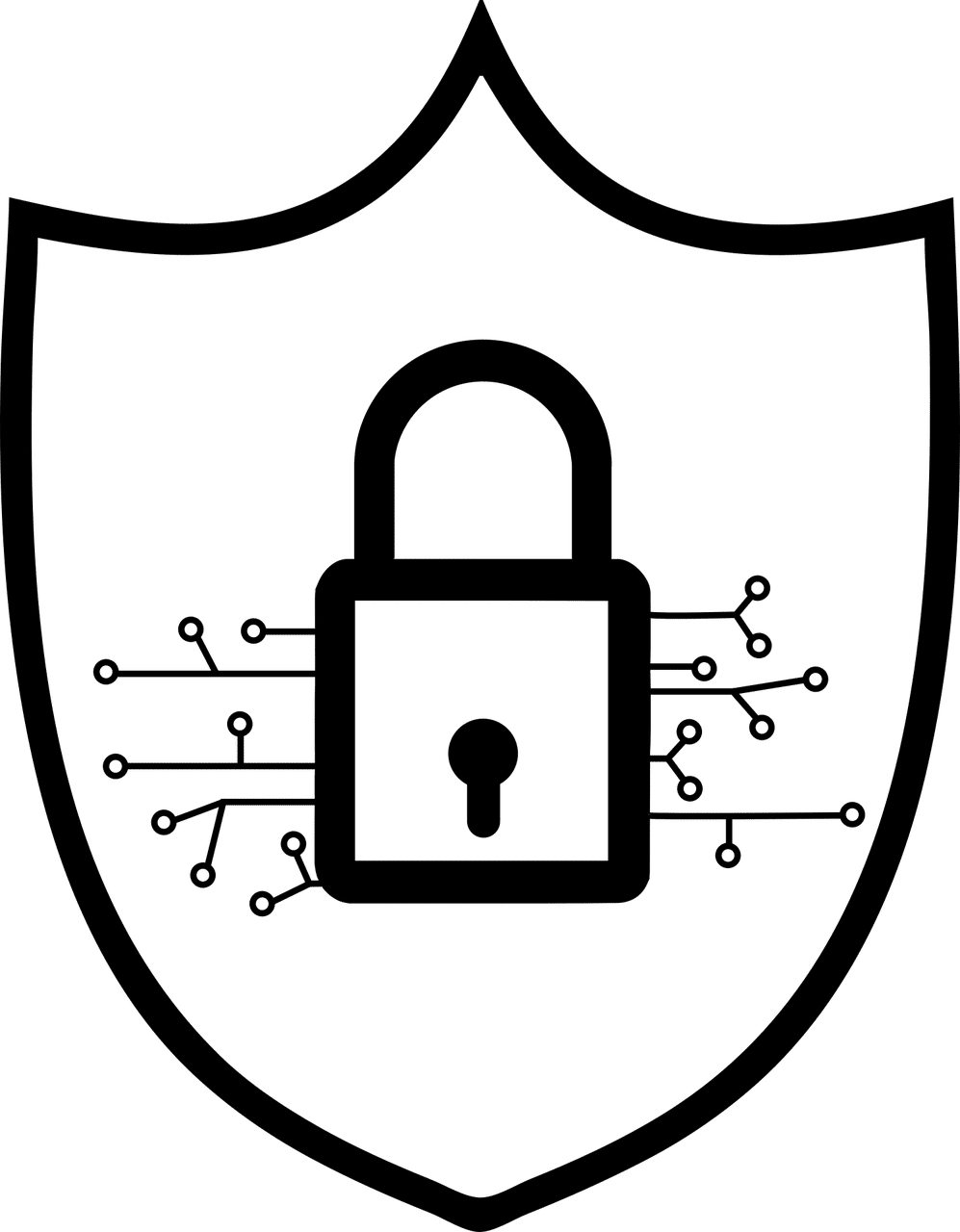 sécurité données
