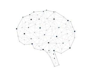 capture d’écran 10 12 2025 16243 www.canva.com Illustration schématique de cerveau avec points connectés.